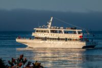 Whale Watching Boat